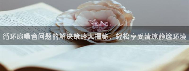 凯发旗舰客户端：循环扇噪音问题的解决策略大揭秘，轻松享受清凉静谧环境