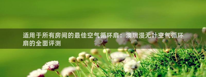 凯发娱乐官网登录：适用于所有房间的最佳空气循环扇：澳瑞漫无叶空气循环
扇的全面评测