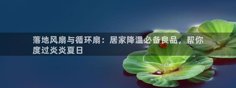 凯发k8娱乐品牌导航：落地风扇与循环扇：居家降温必备良品，帮你
度过炎炎夏日