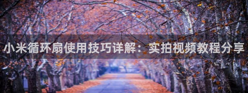 凯发登录网址：小米循环扇使用技巧详解：实拍视频教程分享