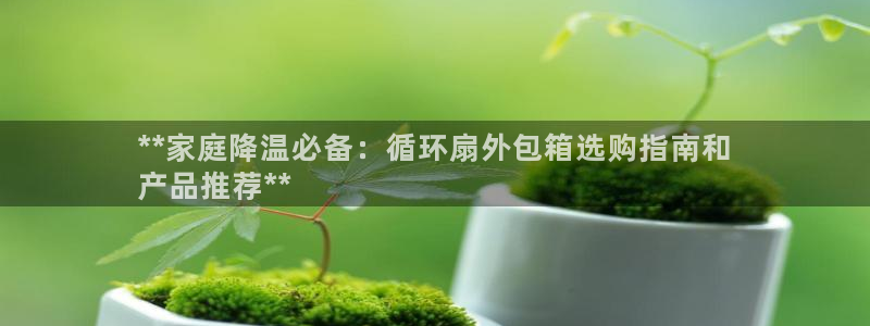 凯发平台医7O777：**家庭降温必备：循环扇外包箱选购指南和
产品推荐**