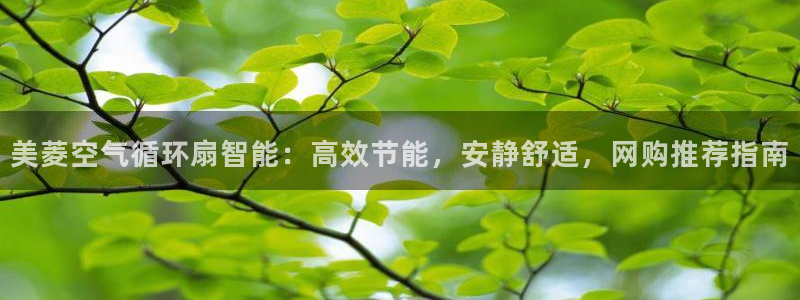 凯发k8娱乐官方版fxzls -安卓3.5：美菱空气循环扇智能：高效节能，安静舒适，网购推荐指南