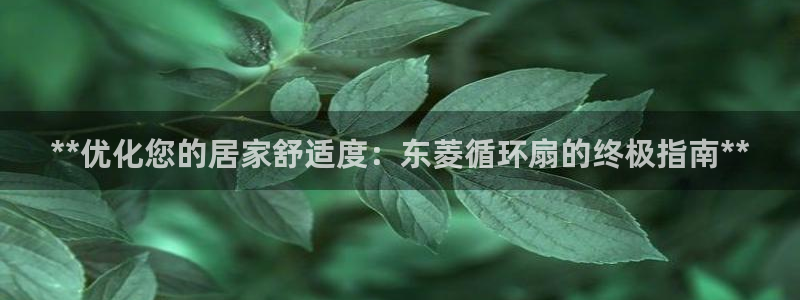凯发就来凯发天生赢家一触即发：**优化您的居家舒适度：东菱循环扇的终极指南**