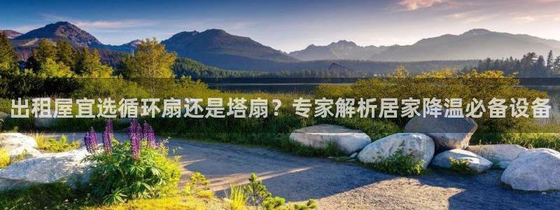凯发旗舰：出租屋宜选循环扇还是塔扇？专家解析居家降温必备设备