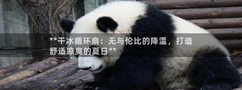 凯发k8app下载：**干冰循环扇：无与伦比的降温，打造
舒适凉爽的夏日**