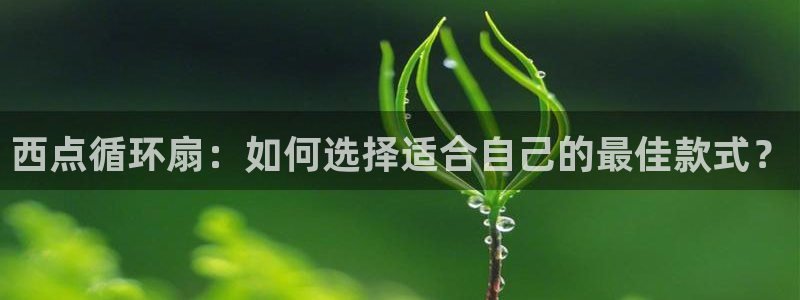 k8凯发国际首页：西点循环扇：如何选择适合自己的最佳款式？