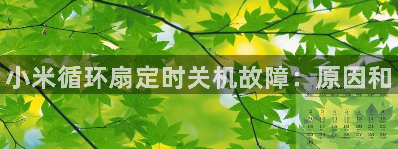 凯发娱乐官方网站：小米循环扇定时关机故障：原因和