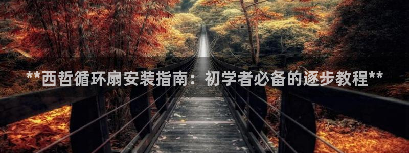 凯发k8官方：**西哲循环扇安装指南：初学者必备的逐步教程**