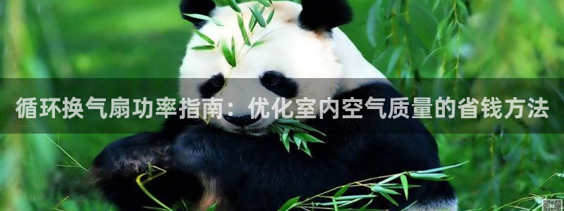 凯发app是干嘛的：循环换气扇功率指南：优化室内空气质量的省钱方法