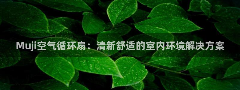 凯发就来凯发天生赢家一触即发：Muji空气循环扇：清新舒适的室内环境解决方案