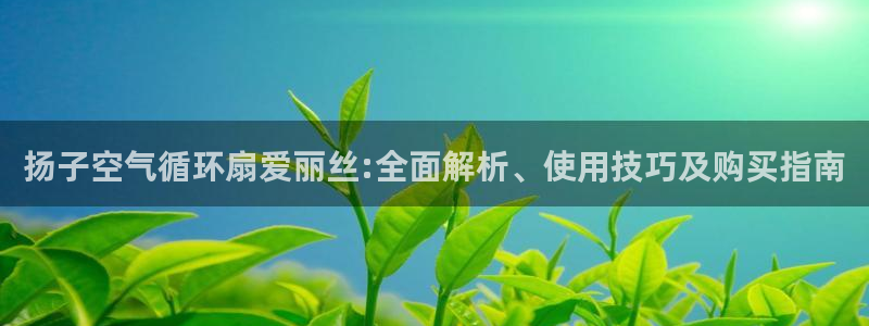 凯发国际娱乐官网k8：扬子空气循环扇爱丽丝:全面解析、使用技巧及购买指南