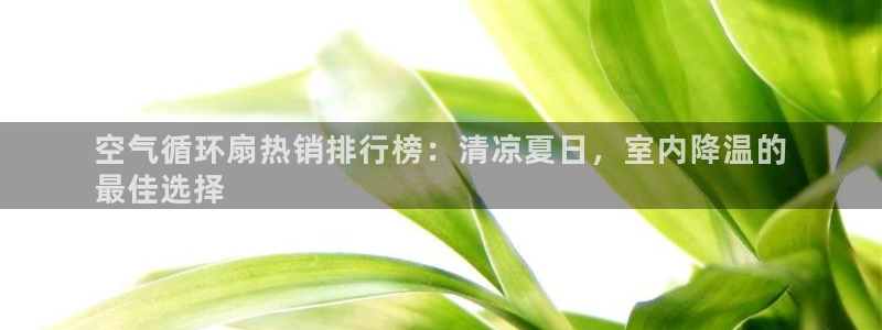 凯发k8国际下载：空气循环扇热销排行榜：清凉夏日，室内降温的
最佳选择