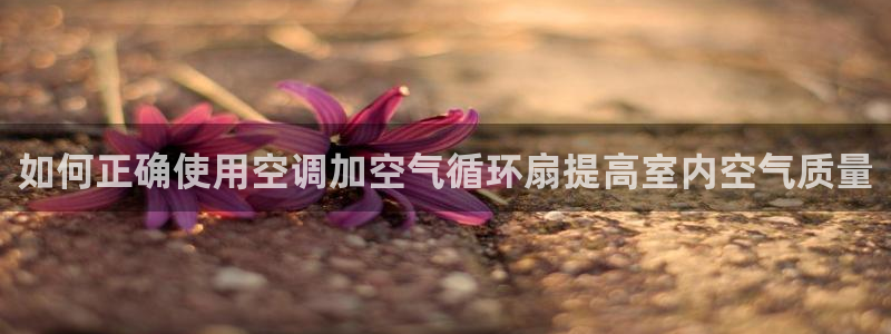 凯发k8国际娱乐版：如何正确使用空调加空气循环扇提高室内空气质量