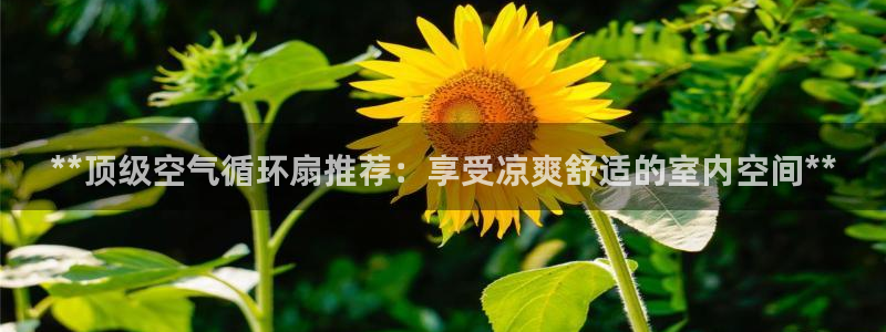 凯发旗舰：**顶级空气循环扇推荐：享受凉爽舒适的室内空间**