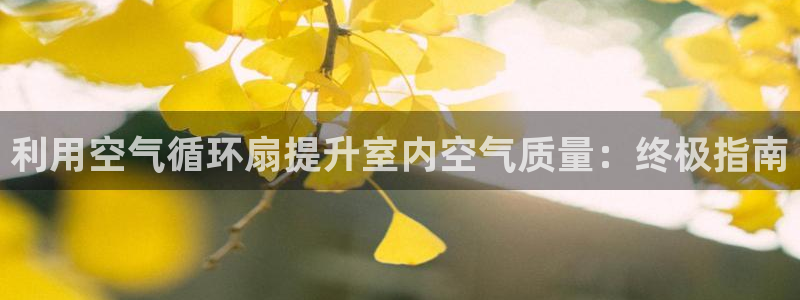 凯发k8娱乐手机版官网：利用空气循环扇提升室内空气质量：终极指南