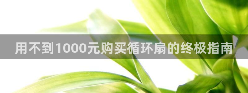凯发k8国际真人娱乐手机app：用不到1000元购买循环扇的终极指南