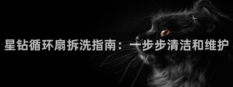 凯发k8是真是假：星钻循环扇拆洗指南：一步步清洁和维护