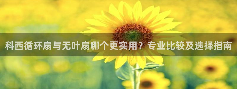 凯发app是干嘛的：科西循环扇与无叶扇哪个更实用？专业比较及选择指南