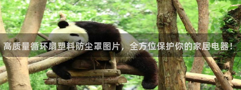 凯发娱网址是什么：高质量循环扇塑料防尘罩图片，全方位保护你的家居电器！