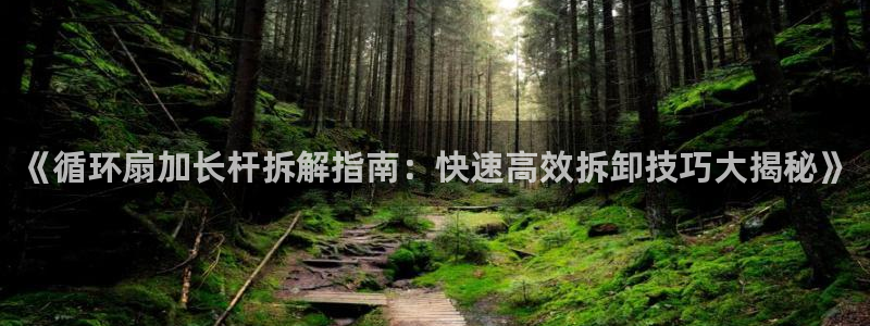 凯发手机唯一：《循环扇加长杆拆解指南：快速高效拆卸技巧大揭秘》