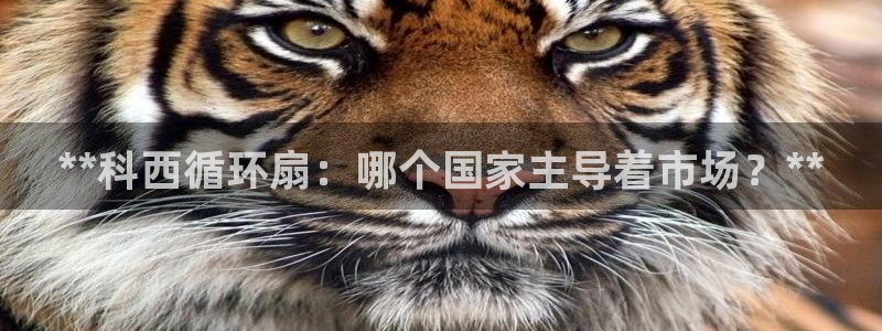 凯发k8国际真人娱乐手机app：**科西循环扇：哪个国家主导着市场？**