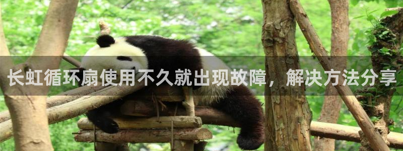 凯发k8娱乐官网旗舰厅：长虹循环扇使用不久就出现故障，解决方法分享