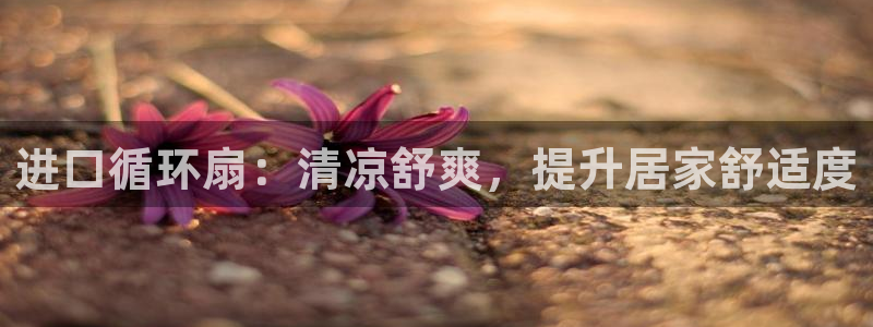 ks8凯发登录网址ios版下载：进口循环扇：清凉舒爽，提升居家舒适度