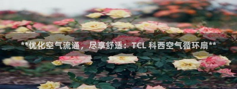 凯发官网地址：**优化空气流通，尽享舒适：TCL 科西空气循环扇**
