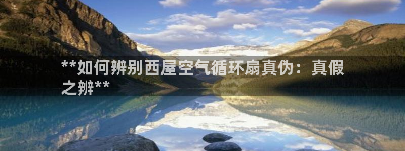 凯发在线平台官方网站：**如何辨别西屋空气循环扇真伪：真假
之辨**