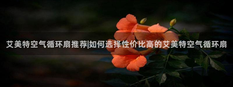 凯发k8网页登录：艾美特空气循环扇推荐|如何选择性价比高的艾美特空气循环扇